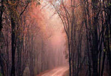 Kaiyun：杜普兰蒂斯：对成绩没有执念 期待体验中国文化.